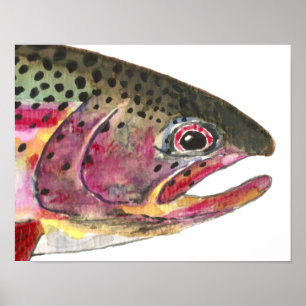 Rainbow Trout Fish Poster