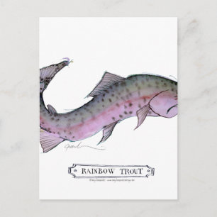 Rainbow Trout fish, tony fernandes Postcard