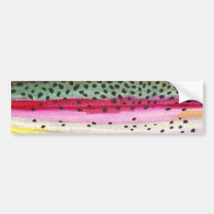 Rainbow Trout Fishing Bumper Sticker