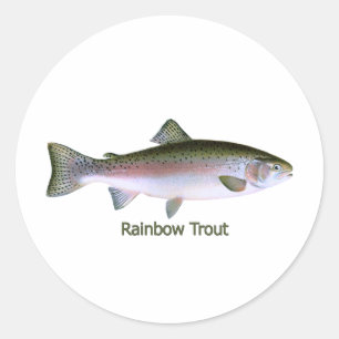 Rainbow Trout Fishing  Logo Classic Round Sticker