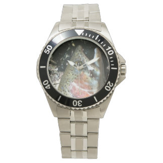 Rainbow trout, fly fishing watch