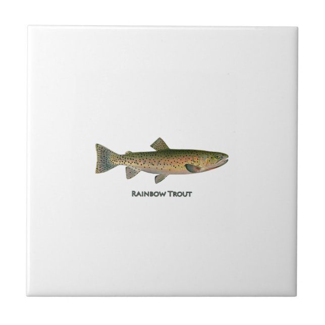 Rainbow Trout (freshwater) Ceramic Tile (Front)