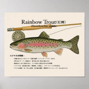 Rainbow Trout – japanese Art Print