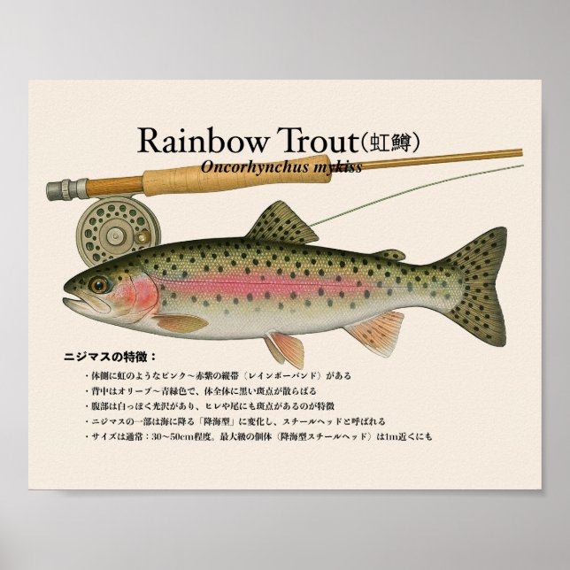 Rainbow Trout – japanese Art Print (Front)