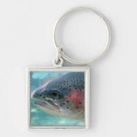 Rainbow Trout