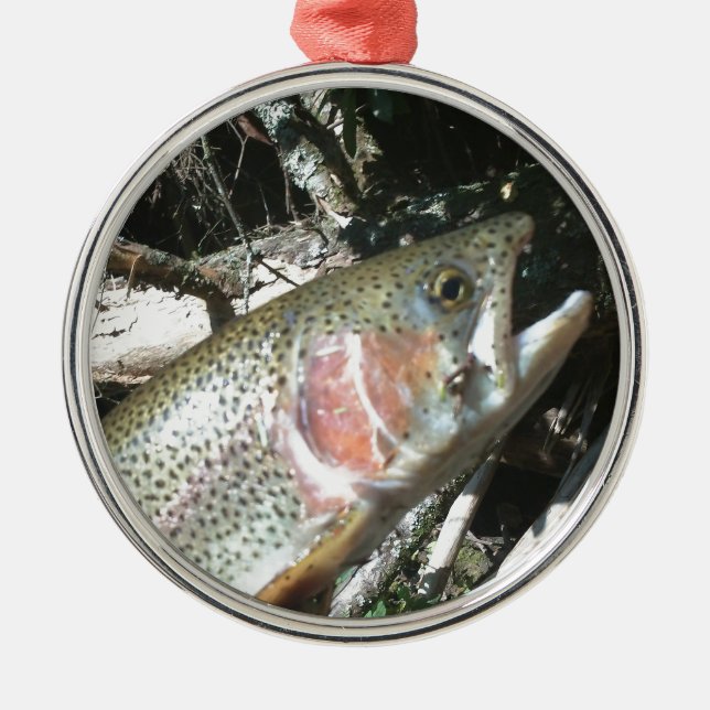 Rainbow trout metal tree decoration (Front)