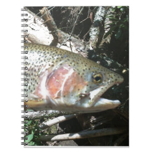 Rainbow trout notebook