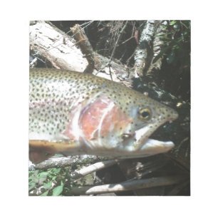 Rainbow trout notepad