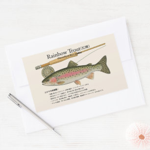 Rainbow Trout (Oncorhynchus mykiss) – Japanese Rectangular Sticker