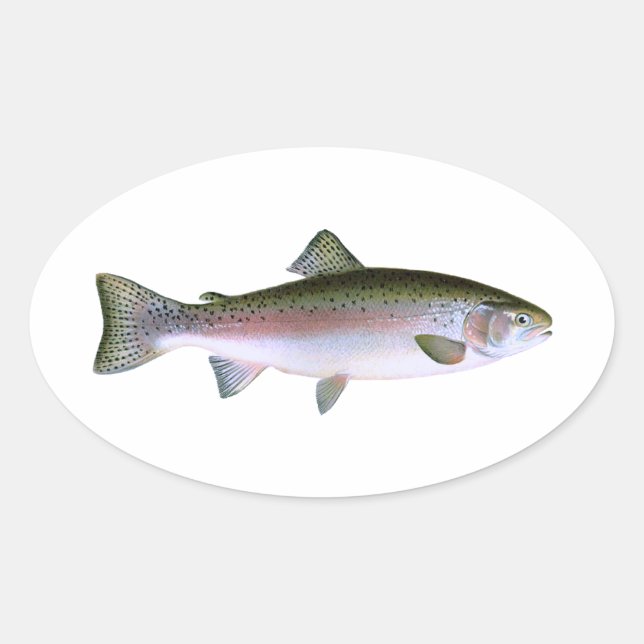 Rainbow Trout Oval Sticker (Front)