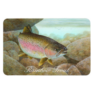 Rainbow Trout Painting Magnet