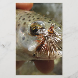 Rainbow Trout photo