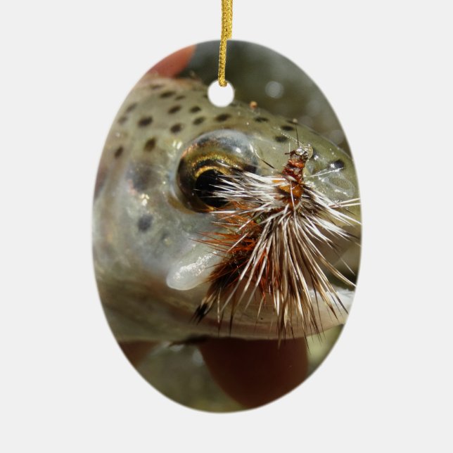 Rainbow Trout photo Ceramic Ornament (Front)