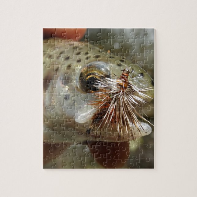 Rainbow Trout photo Jigsaw Puzzle (Vertical)