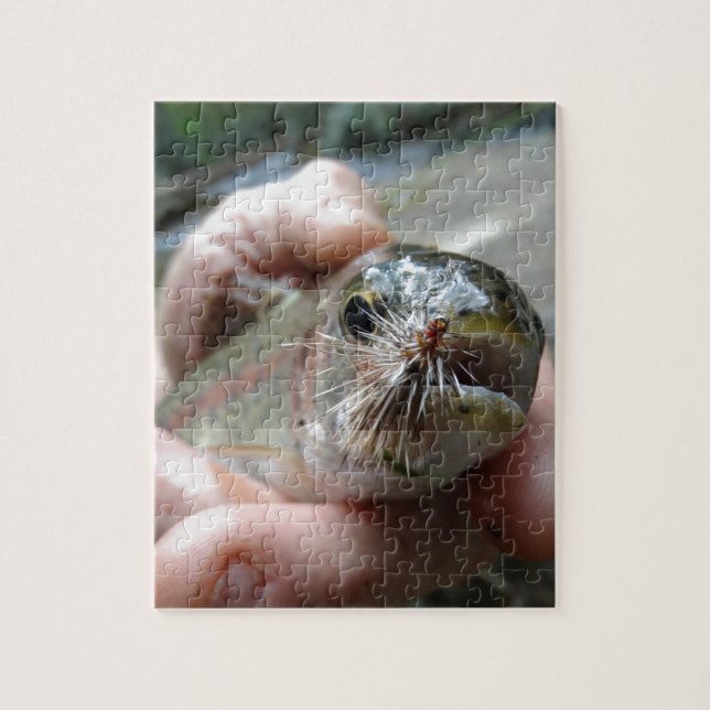 Rainbow Trout photo Jigsaw Puzzle (Vertical)