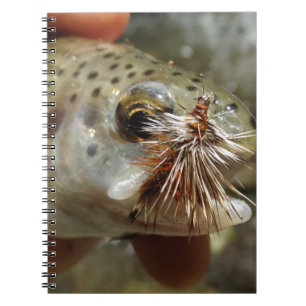 Rainbow Trout photo Notebook