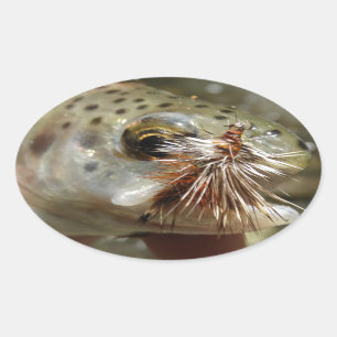 Rainbow Trout photo Oval Sticker