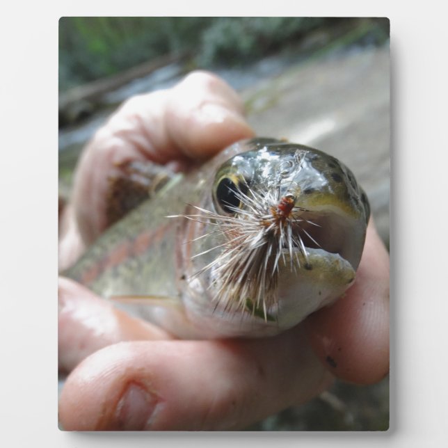 Rainbow Trout photo Plaque (Front)