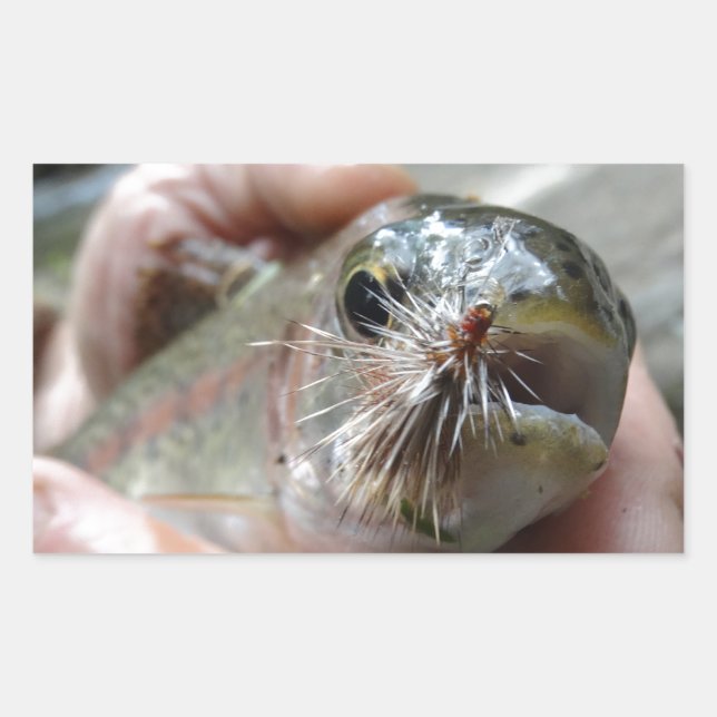 Rainbow Trout photo Rectangular Sticker (Front)