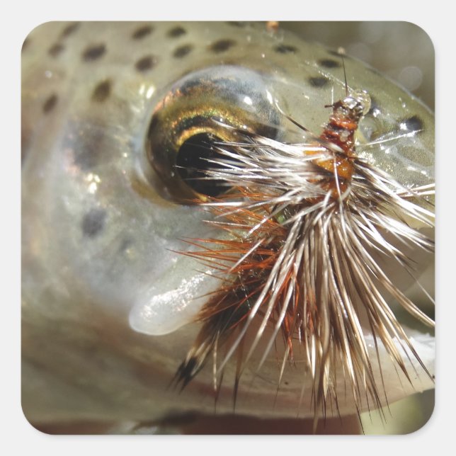 Rainbow Trout photo Square Sticker (Front)