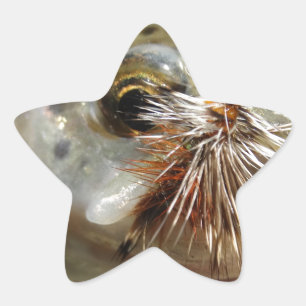 Rainbow Trout photo Star Sticker