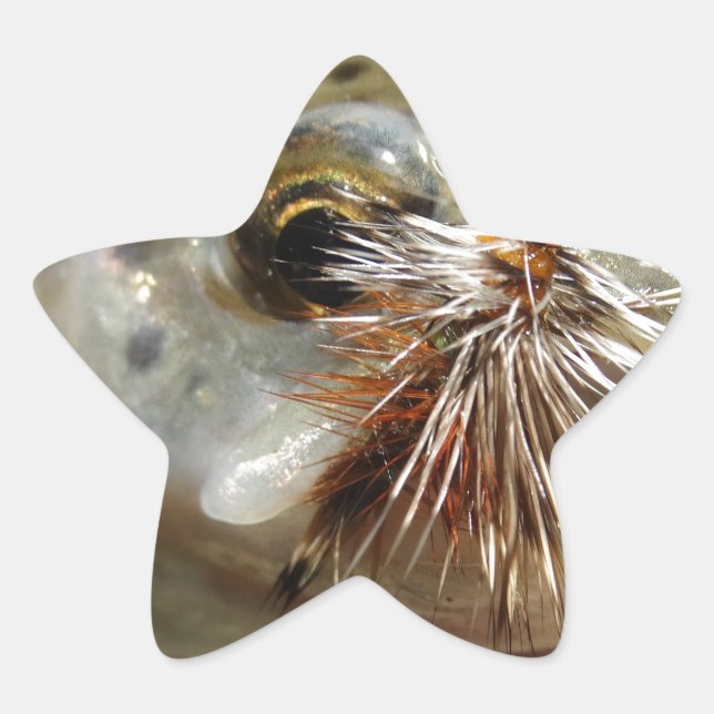 Rainbow Trout photo Star Sticker (Front)