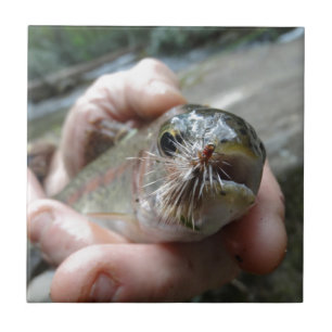 Rainbow Trout photo Tile