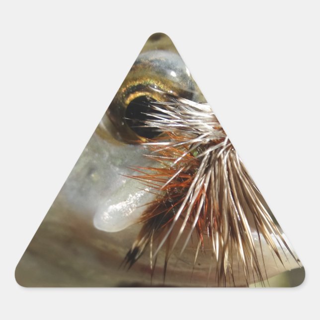 Rainbow Trout photo Triangle Sticker (Front)