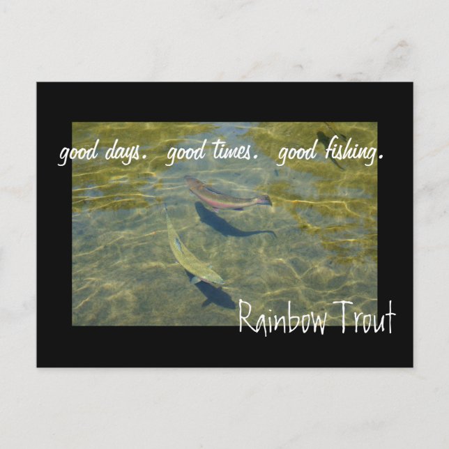 Rainbow Trout postcards Good Days Times Fishing (Front)