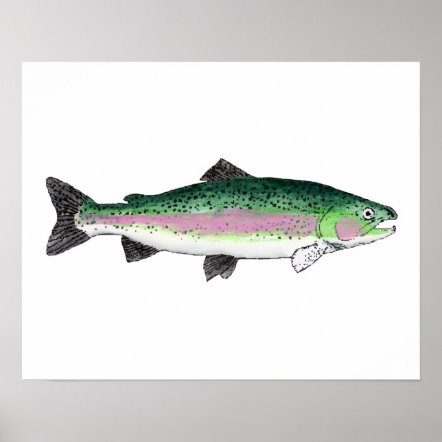 Rainbow Trout Poster (Front)