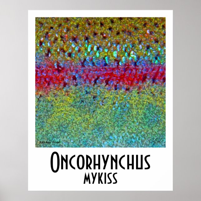 Rainbow Trout Poster (Front)