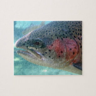Rainbow Trout Puzzle
