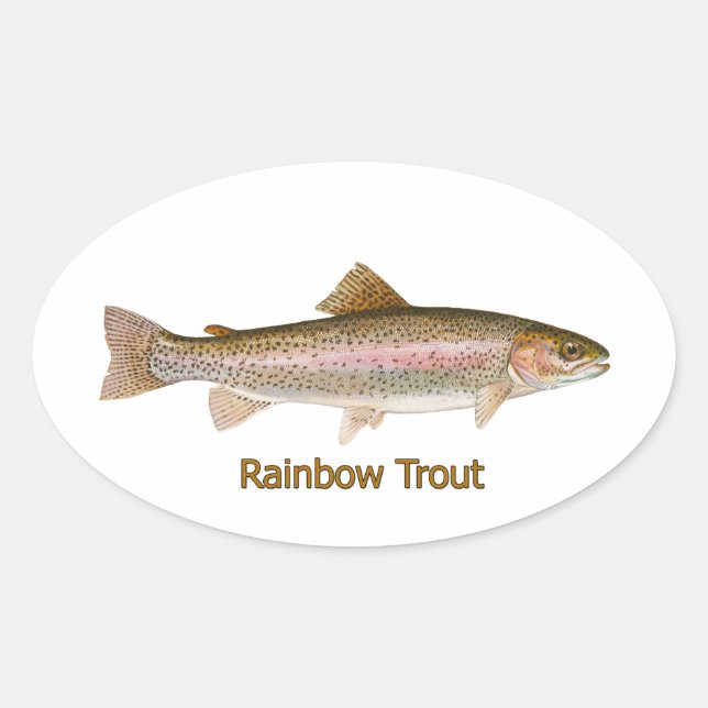 Rainbow Trout (titled) Oval Sticker (Front)
