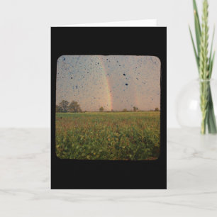 Rainbow TTV Card