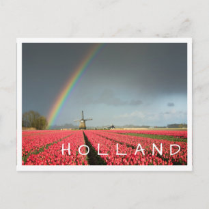 Rainbow, tulips and windmill Holland text postcard
