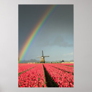 Rainbow, tulips and windmill vertical poster
