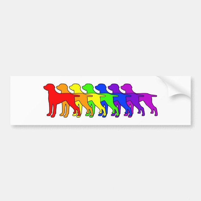 Rainbow Weimaraner Bumper Sticker (Front)