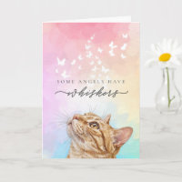 Rainbow Whiskers Orange Tabby Cat Loss Sympathy