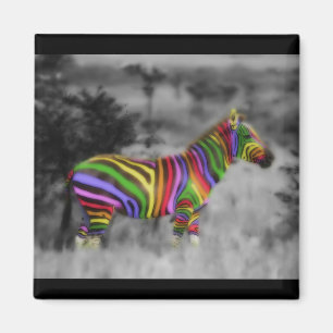 Rainbow Zebra Magnet