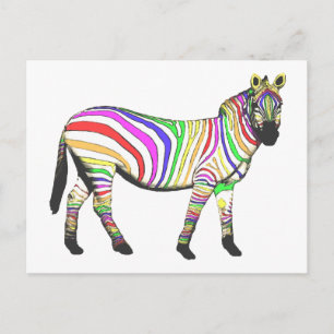 Rainbow Zebra Postcard