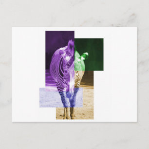 Rainbow Zebra Postcard
