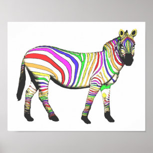 Rainbow Zebras - Print