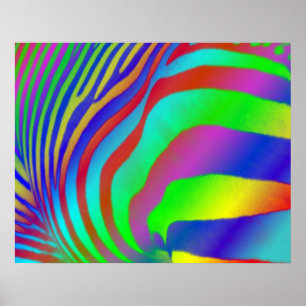 Rainbow Zebra Print