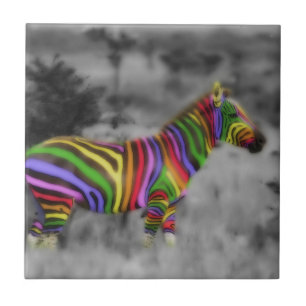 Rainbow Zebra Tile