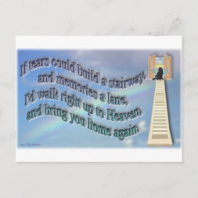 RainbowBridge Postcard (Front)