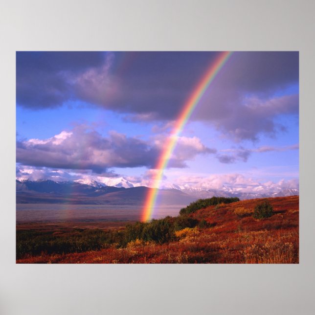 Rainbow's Beauty Poster (Front)