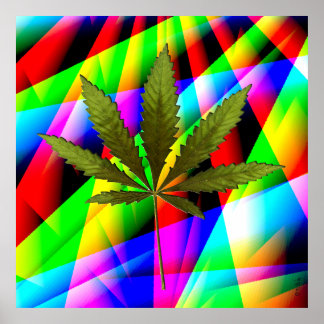 Rainbow's Leaf.... Poster