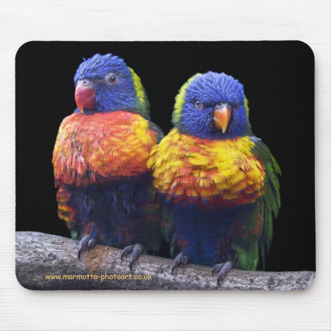 Rainbows Mousemat (Front)