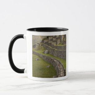 Rainbows over the agricultural terraces, Machu Mug