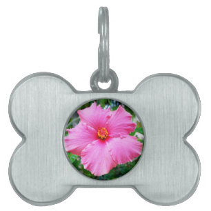 "Raindrop Petals: Pink Hibiscus in Gentle Shower" Pet Tag